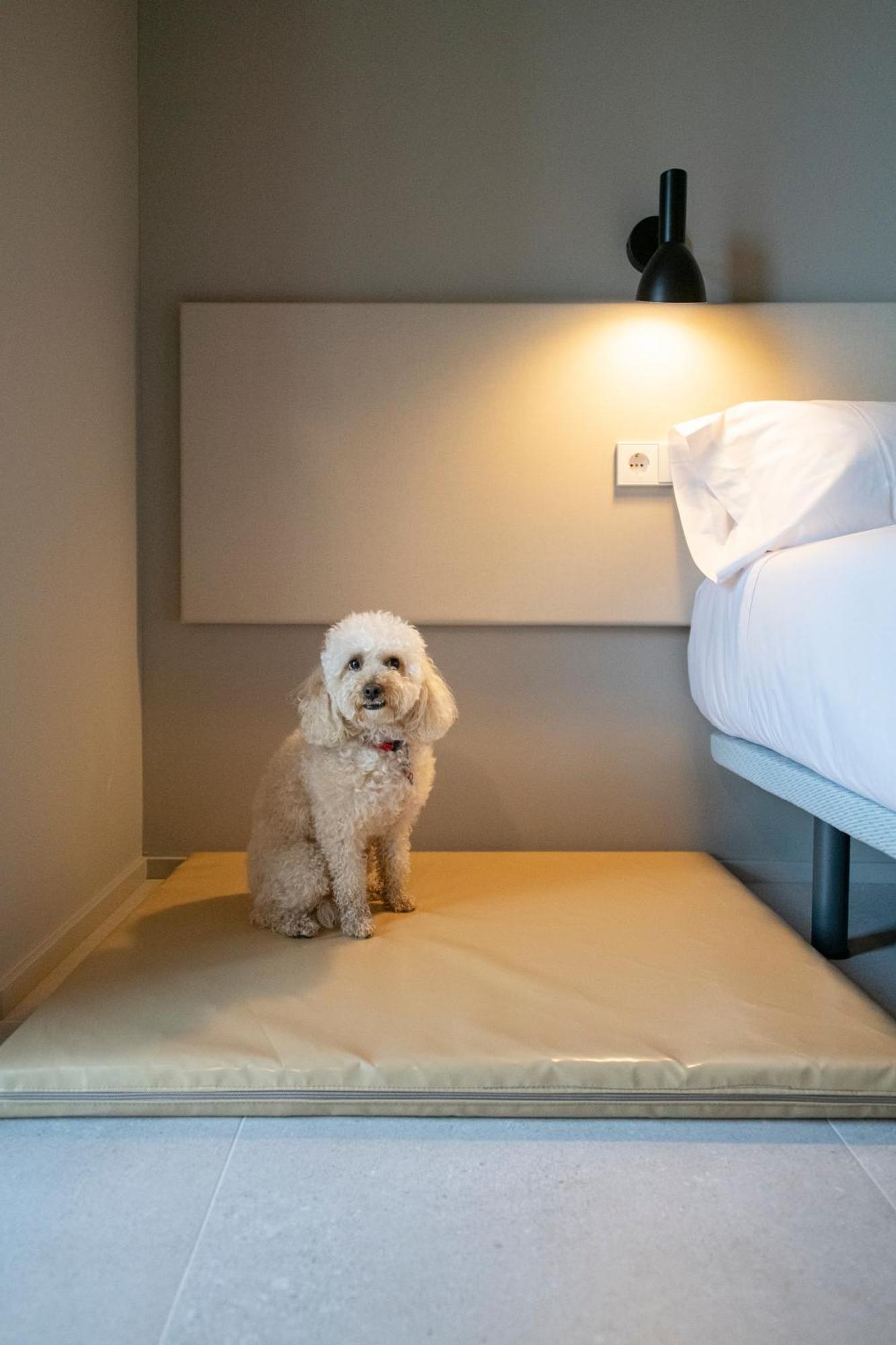 Apartaments La Carpa 班约莱斯 外观 照片