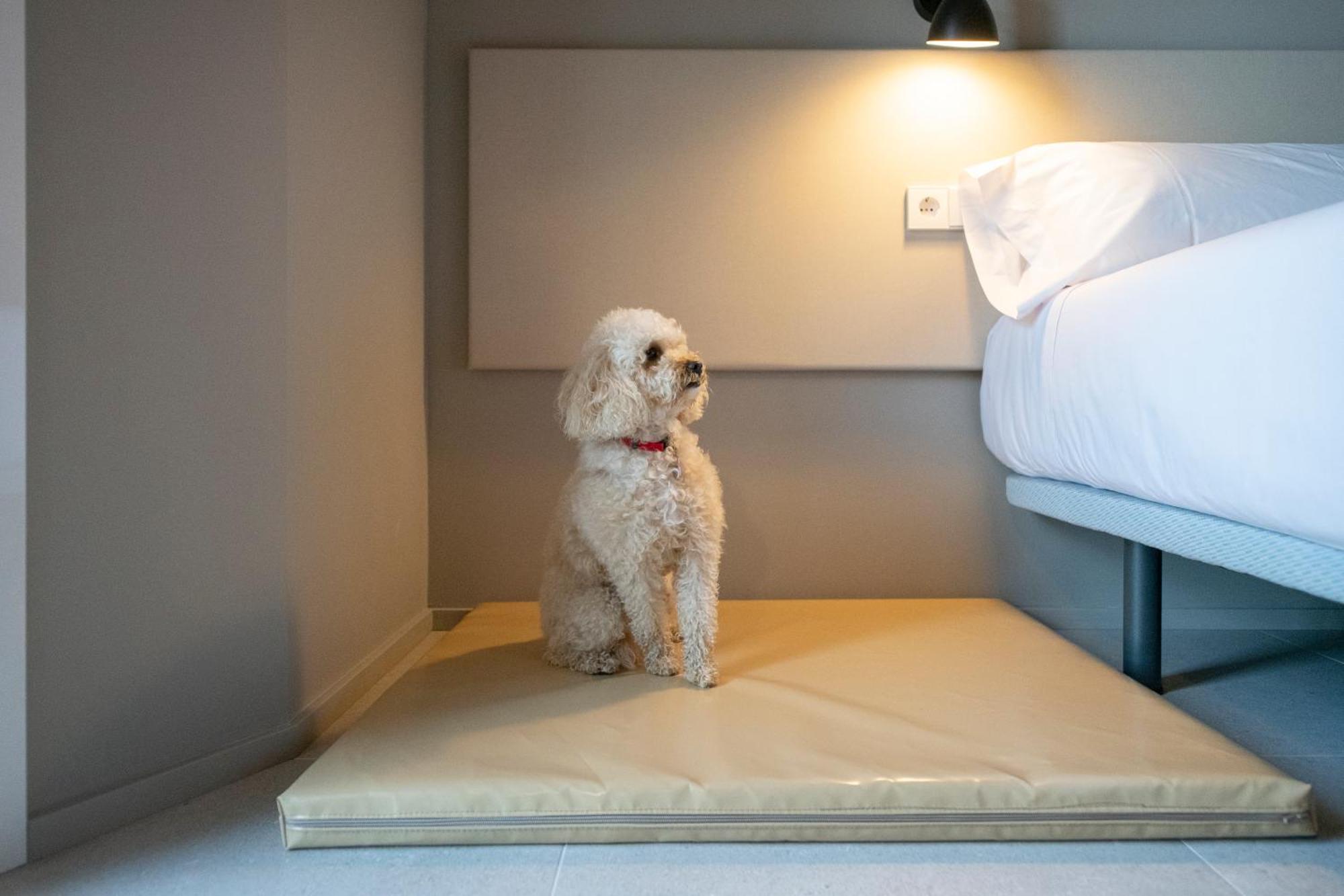 Apartaments La Carpa 班约莱斯 外观 照片